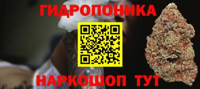 круглые Кингисепп